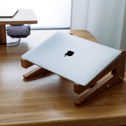 3 in 1 LAPTOP STAND