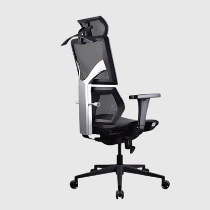 Ergonomic chair SPINELINE BASIC