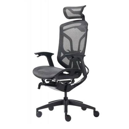 DVARY X ergonomic chair