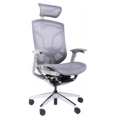 DVARY X ergonomic chair